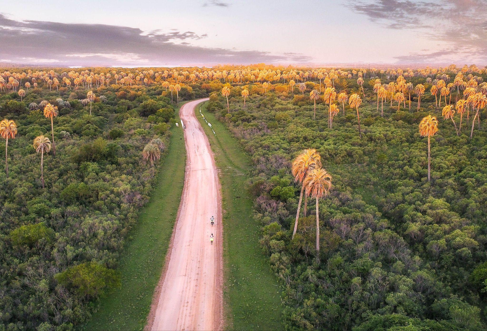 Carretera que atraviesa el Chaco paraguayo al atardecer